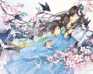 男生女生差差差拔萝卜